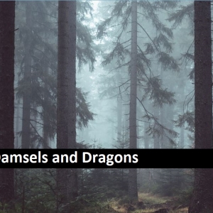 Damsels and Dragons
